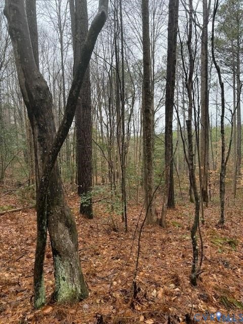Tiny photo for 26398 Cherry Hill Rd, Mc Kenney, VA 23872 (MLS # 2623502)