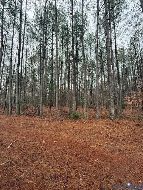 Tiny photo for 26398 Cherry Hill Rd, Mc Kenney, VA 23872 (MLS # 2623502)