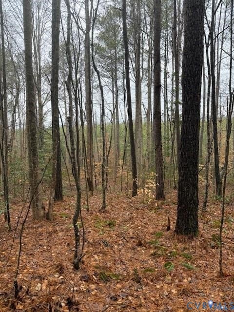 Tiny photo for 26398 Cherry Hill Rd, Mc Kenney, VA 23872 (MLS # 2623502)