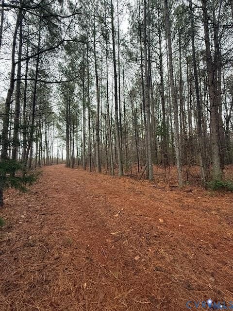 Tiny photo for 26398 Cherry Hill Rd, Mc Kenney, VA 23872 (MLS # 2623502)