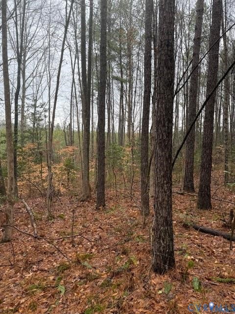 Tiny photo for 26398 Cherry Hill Rd, Mc Kenney, VA 23872 (MLS # 2623502)