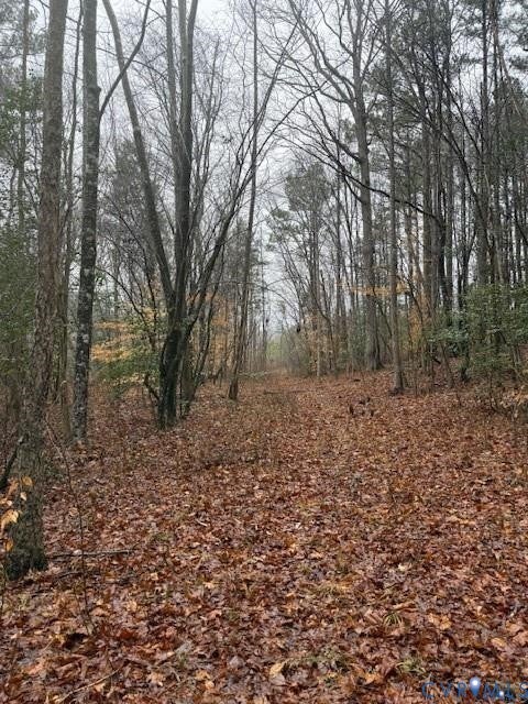 Tiny photo for 26398 Cherry Hill Rd, Mc Kenney, VA 23872 (MLS # 2623502)