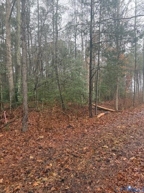 Tiny photo for 26398 Cherry Hill Rd, Mc Kenney, VA 23872 (MLS # 2623502)