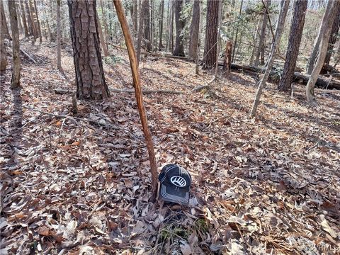 Tiny photo for Lot 9 Colemans Lake Road, Ford, VA 23850 (MLS # 2510071)