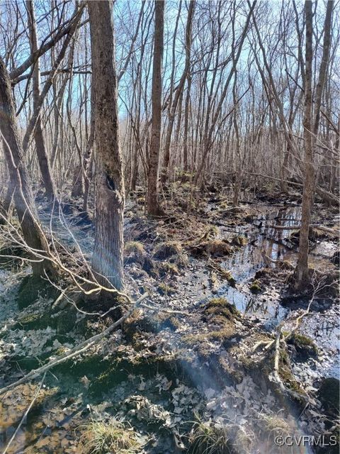 Tiny photo for Lot 9 Colemans Lake Road, Ford, VA 23850 (MLS # 2510071)