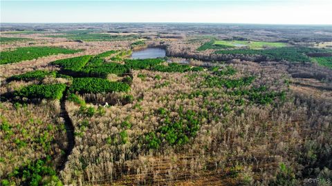 Tiny photo for Lot 9 Colemans Lake Road, Ford, VA 23850 (MLS # 2510071)