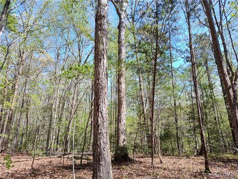 Tiny photo for Lot 9 Colemans Lake Road, Ford, VA 23850 (MLS # 2510071)