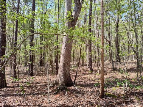 Tiny photo for Lot 9 Colemans Lake Road, Ford, VA 23850 (MLS # 2510071)