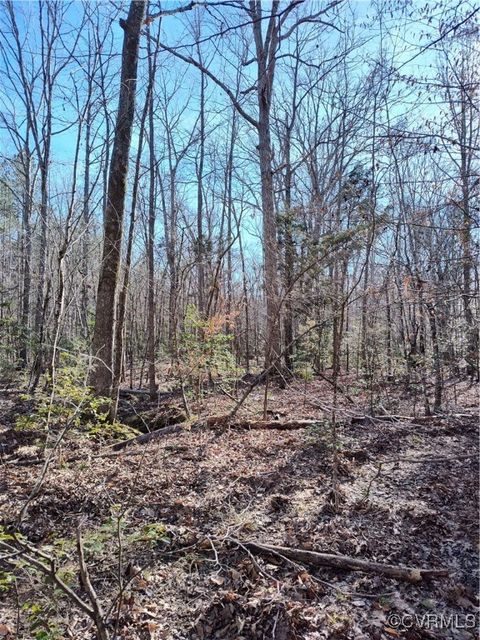 Tiny photo for Lot 9 Colemans Lake Road, Ford, VA 23850 (MLS # 2510071)