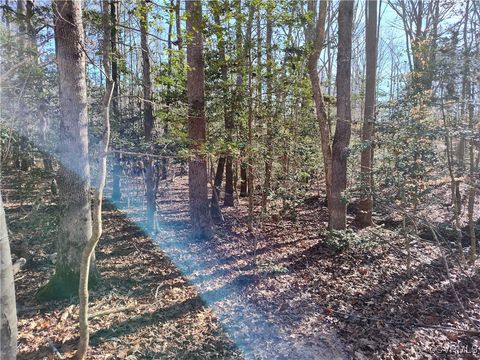 Tiny photo for Lot 9 Colemans Lake Road, Ford, VA 23850 (MLS # 2510071)