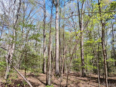 Tiny photo for Lot 9 Colemans Lake Road, Ford, VA 23850 (MLS # 2510071)