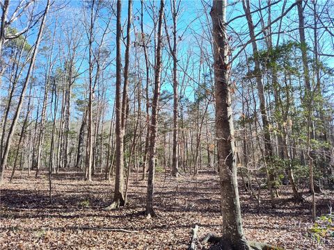 Tiny photo for Lot 9 Colemans Lake Road, Ford, VA 23850 (MLS # 2510071)