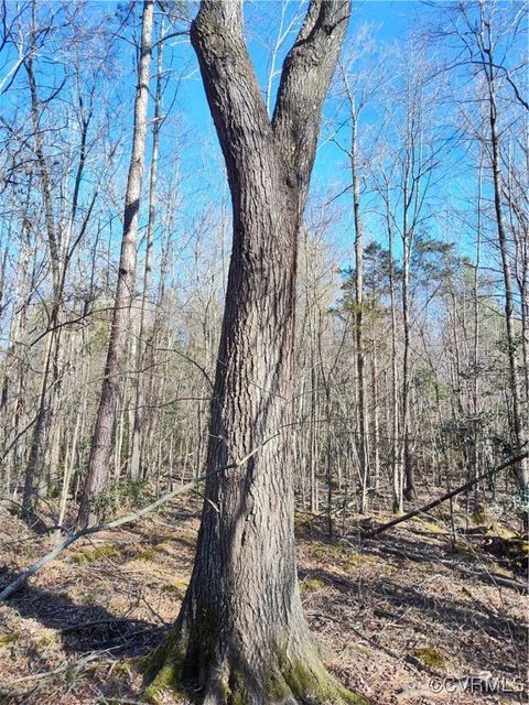 Tiny photo for Lot 9 Colemans Lake Road, Ford, VA 23850 (MLS # 2510071)