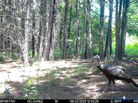 Tiny photo for 32082 Sparta Road, Milford, VA 22514 (MLS # 2609948)