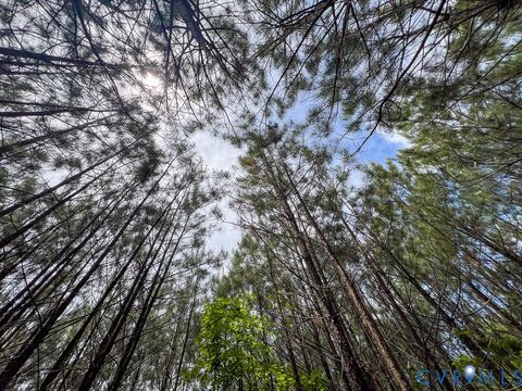 Tiny photo for 32082 Sparta Road, Milford, VA 22514 (MLS # 2609948)