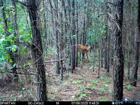 Tiny photo for 32082 Sparta Road, Milford, VA 22514 (MLS # 2609948)