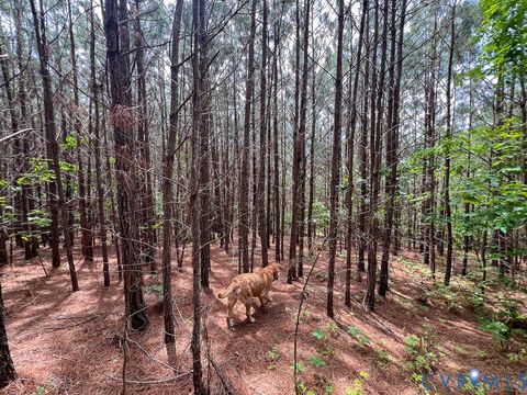 Tiny photo for 32082 Sparta Road, Milford, VA 22514 (MLS # 2609948)