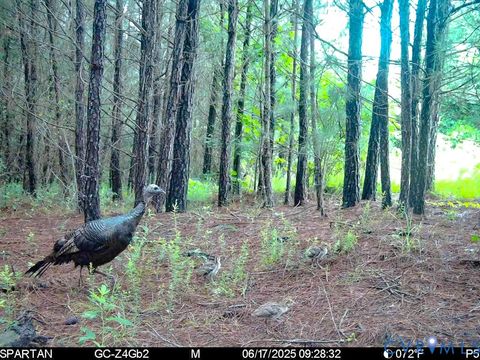 Tiny photo for 32082 Sparta Road, Milford, VA 22514 (MLS # 2609948)