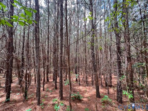 Tiny photo for 32082 Sparta Road, Milford, VA 22514 (MLS # 2609948)