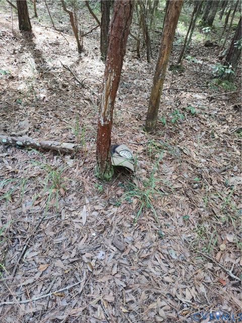 Tiny photo for 187 AC Webb Island Drive, Machipongo, VA 23405 (MLS # 2525647)