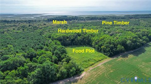 Tiny photo for 187 AC Webb Island Drive, Machipongo, VA 23405 (MLS # 2525647)
