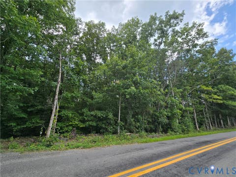 Tiny photo for 000 Yanceyville Road, Louisa, VA 23093 (MLS # 2620619)