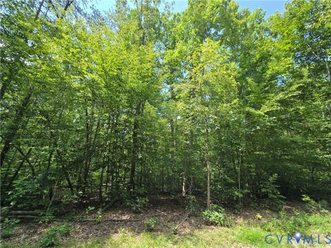 Tiny photo for 000 Yanceyville Road, Louisa, VA 23093 (MLS # 2620619)