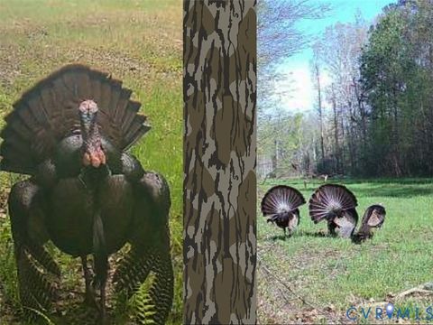 Tiny photo for Quinton, VA 23141 (MLS # 2606492)