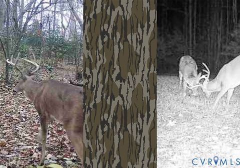 Tiny photo for Quinton, VA 23141 (MLS # 2606492)