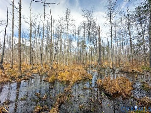 Tiny photo for Quinton, VA 23141 (MLS # 2606492)