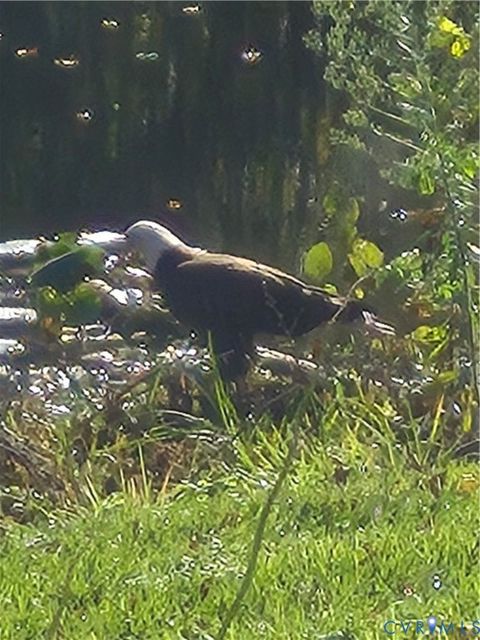 Tiny photo for 10259 Berkeley Manor Drive, Mechanicsville, VA 23116 (MLS # 2605852)