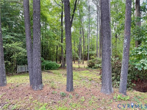 Photo of TBD Chester Drive, Disputanta, VA 23842 (MLS # 2615637)