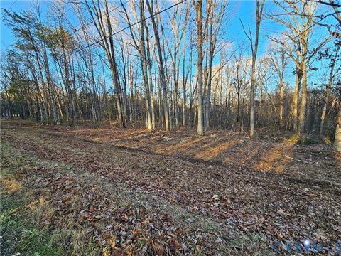 Tiny photo for 0 Physic Spring Road, Dillwyn, VA 23936 (MLS # 2533001)