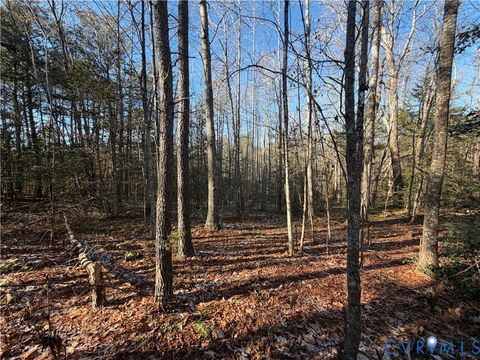 Tiny photo for TBD Lilly Pond Road, King & Queen, VA 22437 (MLS # 2533216)