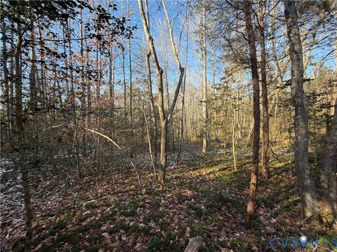 Tiny photo for TBD Lilly Pond Road, King & Queen, VA 22437 (MLS # 2533216)