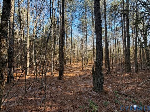 Tiny photo for TBD Lilly Pond Road, King & Queen, VA 22437 (MLS # 2533216)