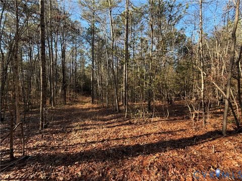Tiny photo for TBD Lilly Pond Road, King & Queen, VA 22437 (MLS # 2533216)