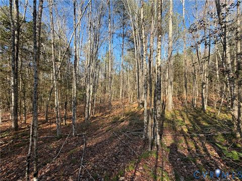 Tiny photo for TBD Lilly Pond Road, King & Queen, VA 22437 (MLS # 2533216)