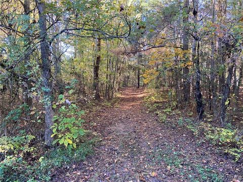 Photo of 0 Parsons Road, Beaverdam, VA 23015 (MLS # 2326349)