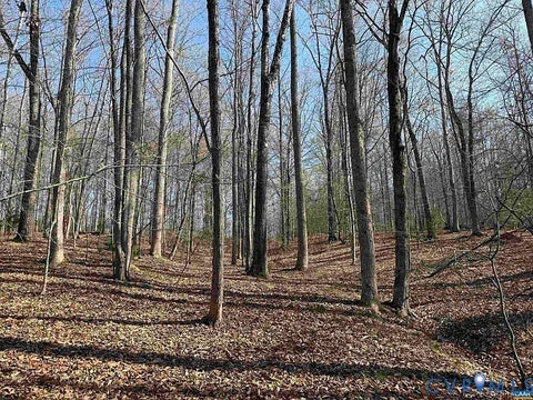 Tiny photo for 0 Paynes Pond Road, Scottsville, VA 24590 (MLS # 2616082)