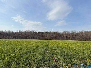 Tiny photo for 0 Paynes Pond Road, Scottsville, VA 24590 (MLS # 2616082)