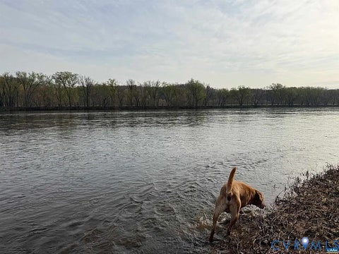 Tiny photo for 0 Paynes Pond Road, Scottsville, VA 24590 (MLS # 2616082)
