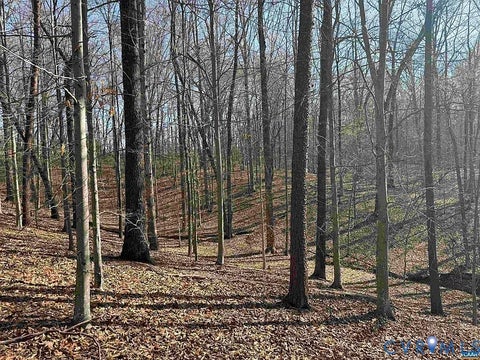 Tiny photo for 0 Paynes Pond Road, Scottsville, VA 24590 (MLS # 2616082)