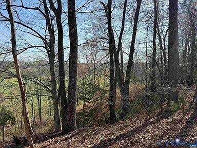 Tiny photo for 0 Paynes Pond Road, Scottsville, VA 24590 (MLS # 2616082)