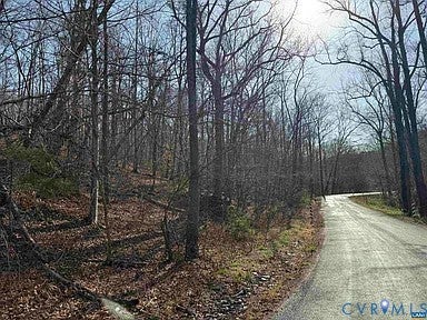 Tiny photo for 0 Paynes Pond Road, Scottsville, VA 24590 (MLS # 2616082)