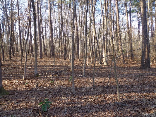 6001 COURTHOUSE RD, CHESTERFIELD, VA 23832 - Image e5b24b5cd488d8f63f9756a7d2ecf628/2185564837