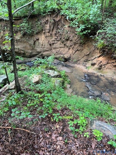 Tiny photo for 8598 W Courthouse Road Rd, Nottoway, VA 23922 (MLS # 2611674)