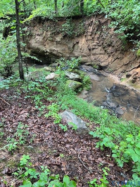 Tiny photo for 8598 W Courthouse Road Rd, Nottoway, VA 23922 (MLS # 2611674)