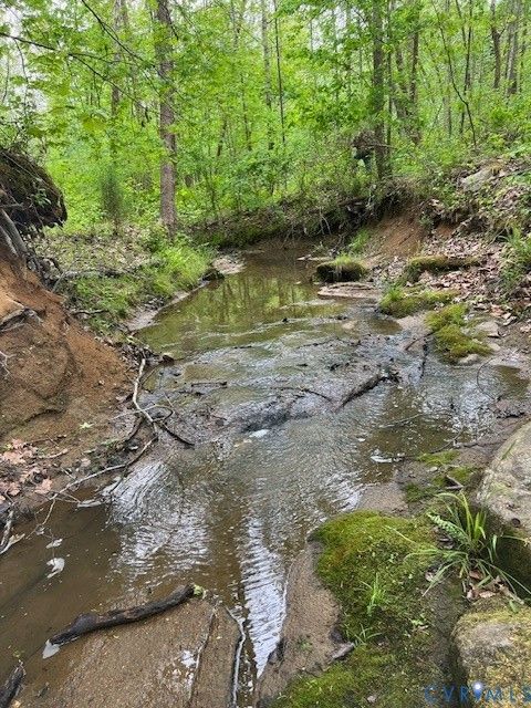 Tiny photo for 8598 W Courthouse Road Rd, Nottoway, VA 23922 (MLS # 2611674)