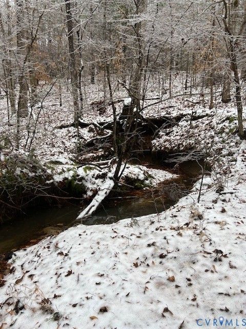 Tiny photo for 8598 W Courthouse Road Rd, Nottoway, VA 23922 (MLS # 2611674)
